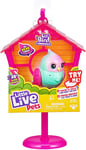 Little live pets: Lil` Bird