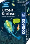 Urzeit-Krebse selber züchten