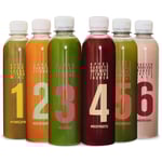 Kale and Me: 5-Tage-Saftkur