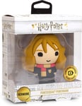 Powerbank im Hermine Granger Design