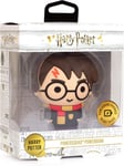 Powerbank im Harry Potter Design