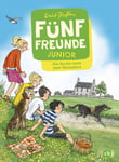 Fünf Freunde JUNIOR: Die Suche nach dem Rennpferd